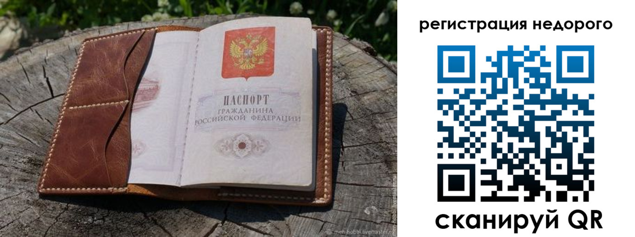 прописка для школы в Тосно
